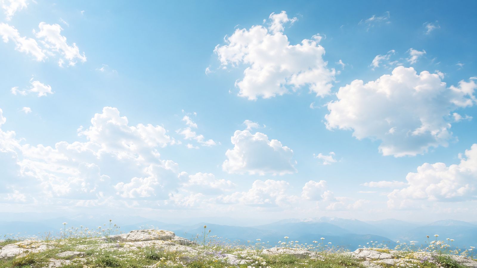 Cloud and alpine meadow above the treeline